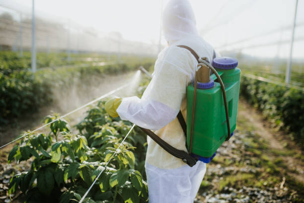 Best Local Pest Control Services  in Ampere North, NJ